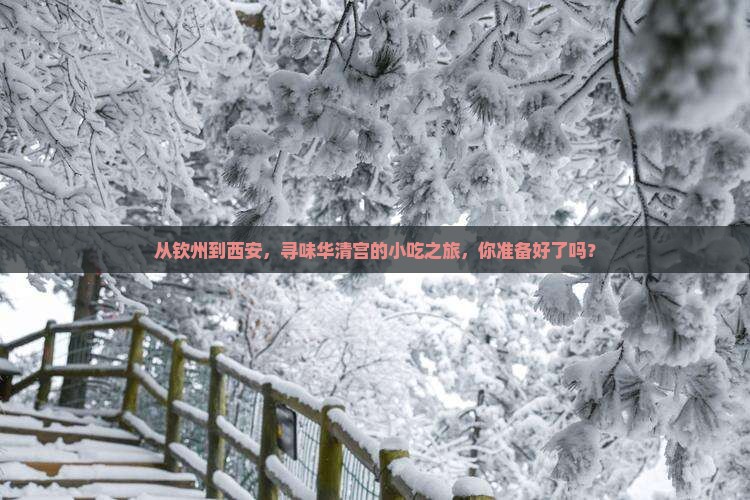 从钦州到西安，寻味华清宫的小吃之旅，你准备好了吗？