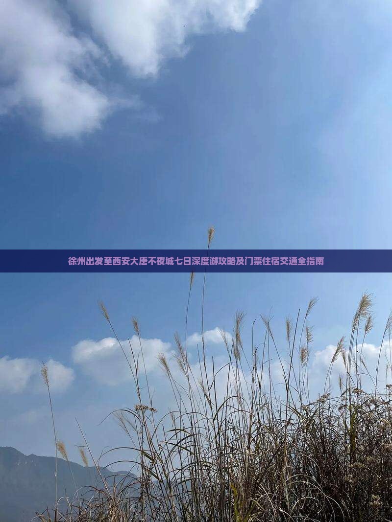 徐州出发至西安大唐不夜城七日深度游攻略及门票住宿交通全指南