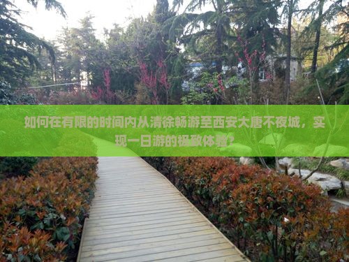 如何在有限的时间内从清徐畅游至西安大唐不夜城，实现一日游的极致体验？