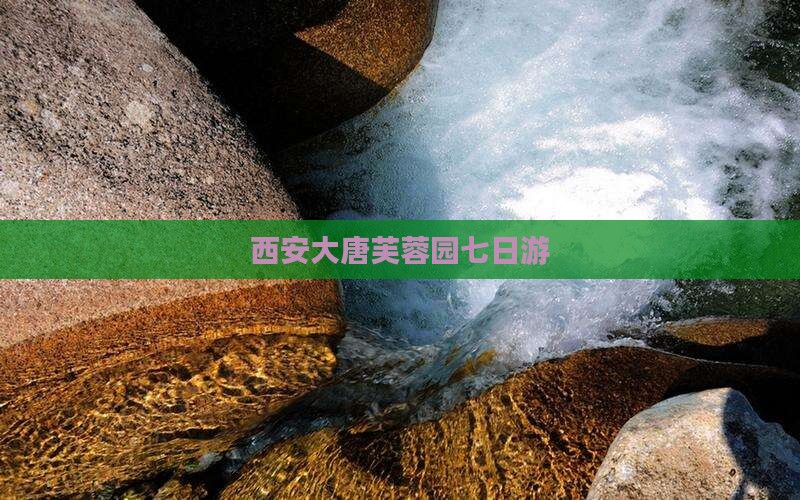 西安大唐芙蓉园七日游