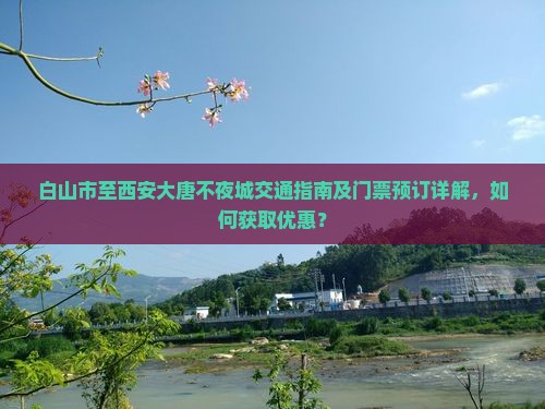 白山市至西安大唐不夜城交通指南及门票预订详解，如何获取优惠？