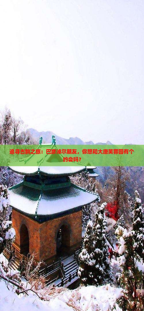 追寻古韵之旅：巴彦淖尔朋友，你想和大唐芙蓉园有个约会吗？
