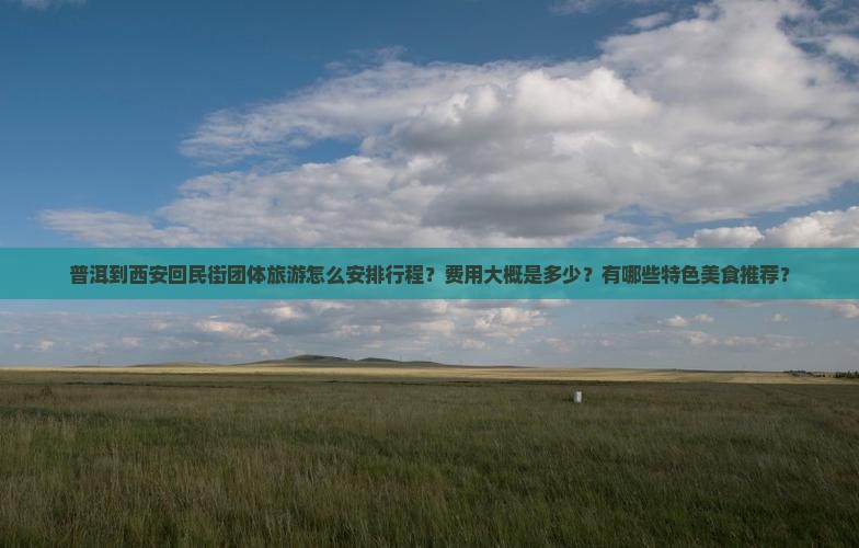 普洱到西安回民街团体旅游怎么安排行程？费用大概是多少？有哪些特色美食推荐？