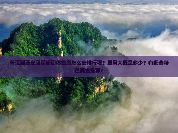 普洱到西安回民街团体旅游怎么安排行程？费用大概是多少？有哪些特色美食推荐？