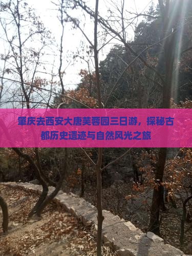肇庆去西安大唐芙蓉园三日游，探秘古都历史遗迹与自然风光之旅