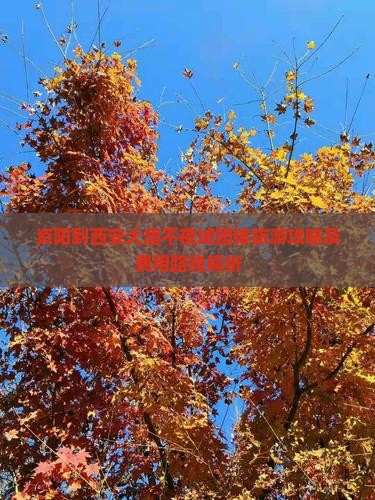 资阳到西安大唐不夜城团体旅游攻略及费用路线解析