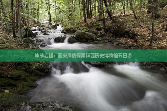 毕节启程：西安深度探索陕西历史博物馆五日游