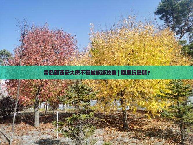 青岛到西安大唐不夜城旅游攻略 | 哪里玩最嗨？