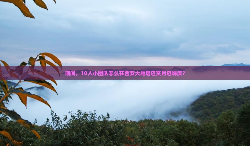 期间，10人小团队怎么在西安大雁塔边赏月边嗨皮？