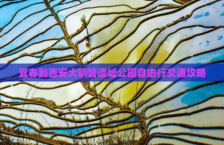 宜春到西安大明宫遗址公园自由行交通攻略