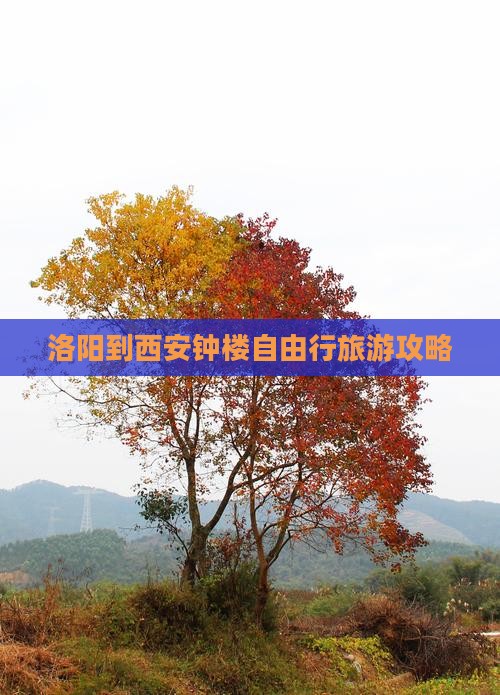 洛阳到西安钟楼自由行旅游攻略