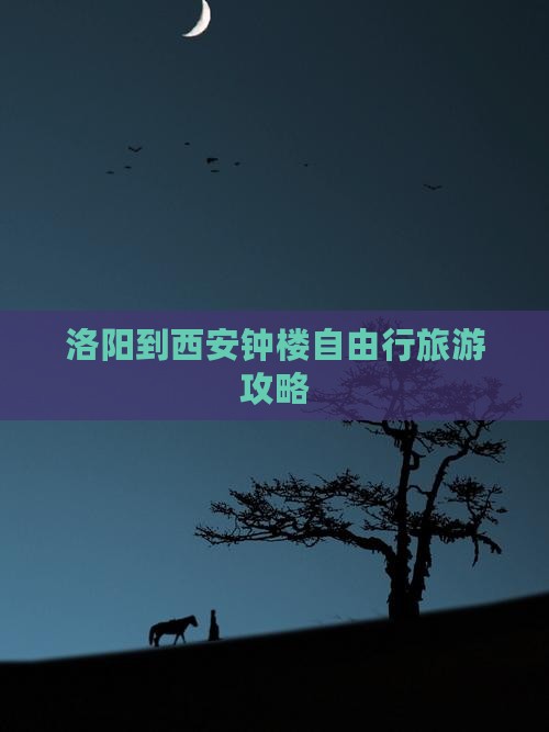 洛阳到西安钟楼自由行旅游攻略