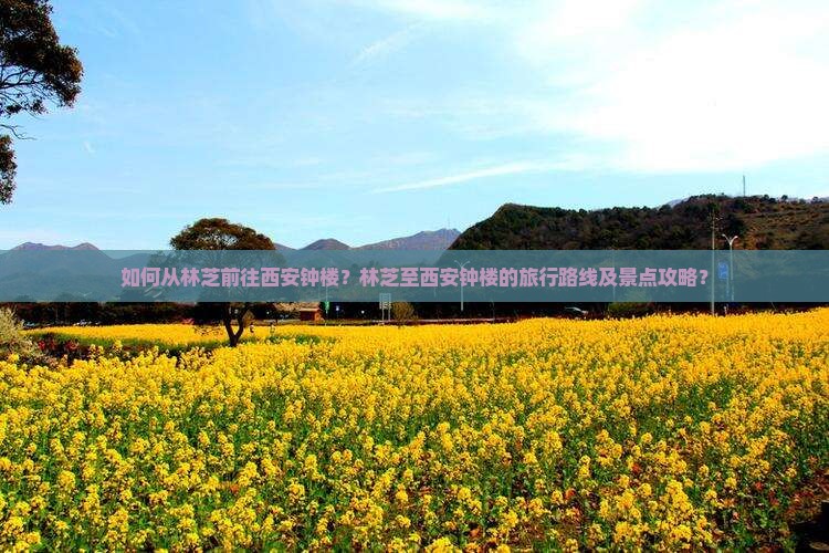 如何从林芝前往西安钟楼？林芝至西安钟楼的旅行路线及景点攻略？