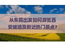 从东莞出发如何游览西安城墙及附近热门景点？