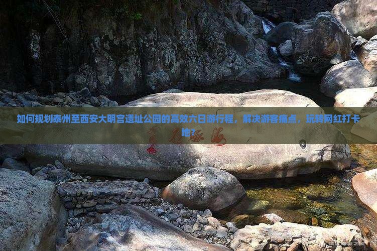 如何规划泰州至西安大明宫遗址公园的高效六日游行程，解决游客痛点，玩转网红打卡地？