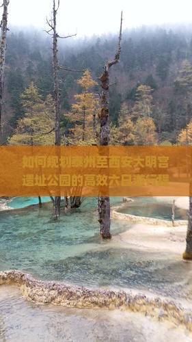 如何规划泰州至西安大明宫遗址公园的高效六日游行程，解决游客痛点，玩转网红打卡地？