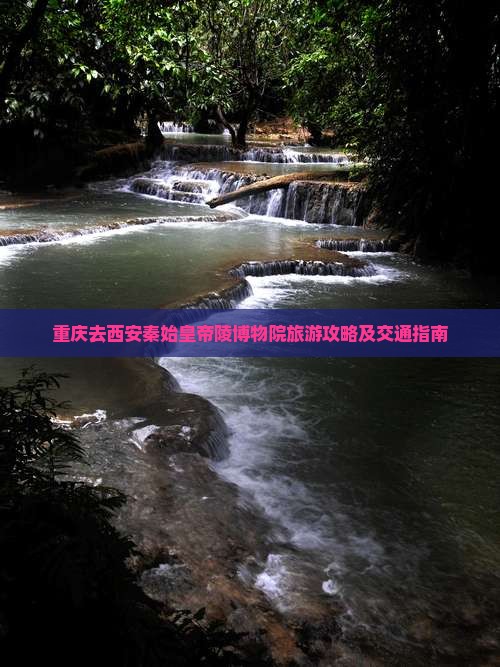 重庆去西安秦始皇帝陵博物院旅游攻略及交通指南