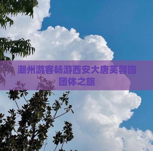 潮州游客畅游西安大唐芙蓉园团体之旅
