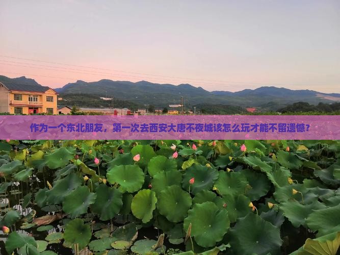 作为一个东北朋友，第一次去西安大唐不夜城该怎么玩才能不留遗憾？