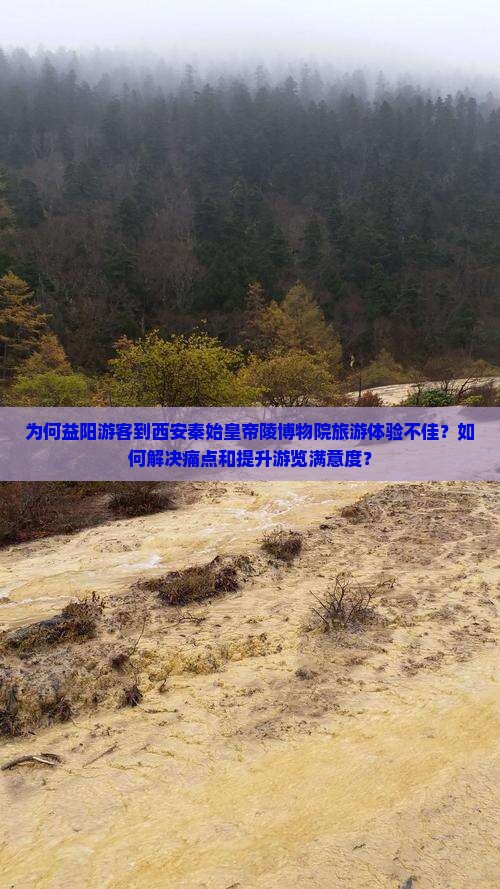 为何益阳游客到西安秦始皇帝陵博物院旅游体验不佳？如何解决痛点和提升游览满意度？