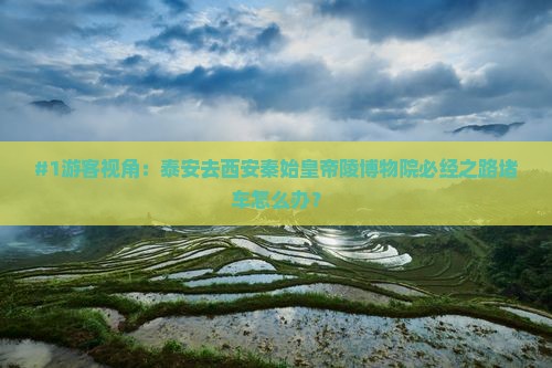 #1游客视角：泰安去西安秦始皇帝陵博物院必经之路堵车怎么办？