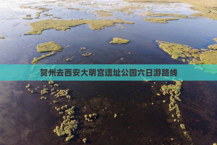 贺州去西安大明宫遗址公园六日游路线