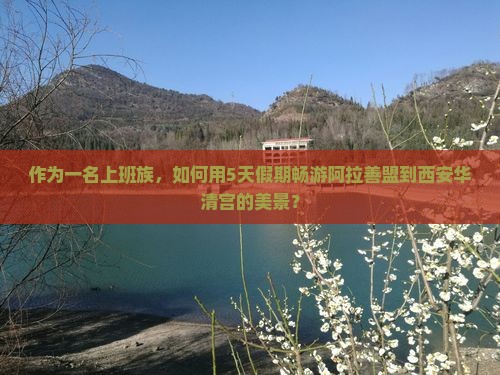 作为一名上班族，如何用5天假期畅游阿拉善盟到西安华清宫的美景？