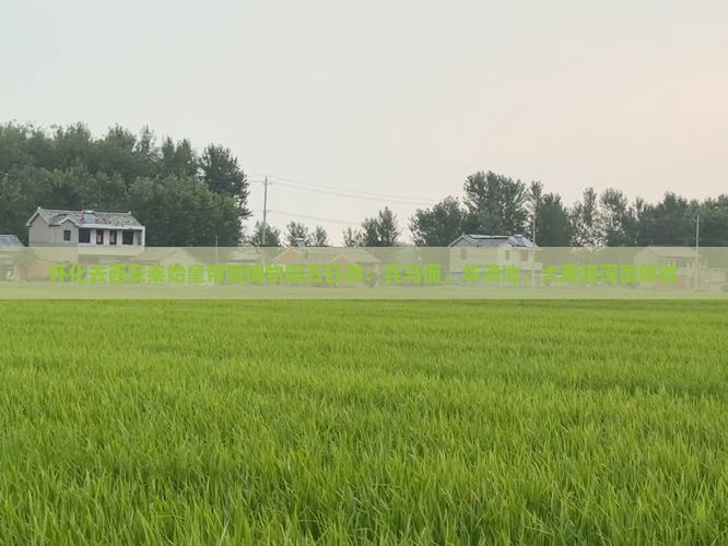 怀化去西安秦始皇帝陵博物院五日游：兵马俑、华清池、大雁塔深度体验
