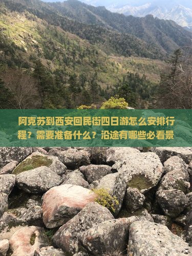 阿克苏到西安回民街四日游怎么安排行程？需要准备什么？沿途有哪些必看景点？