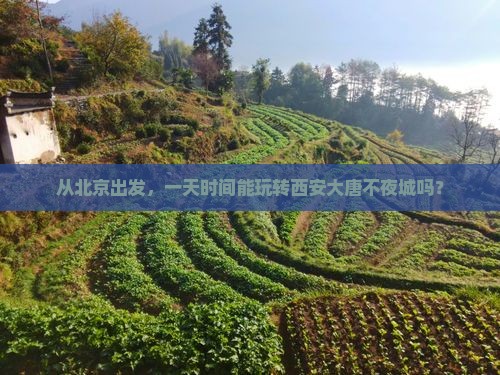从北京出发，一天时间能玩转西安大唐不夜城吗？
