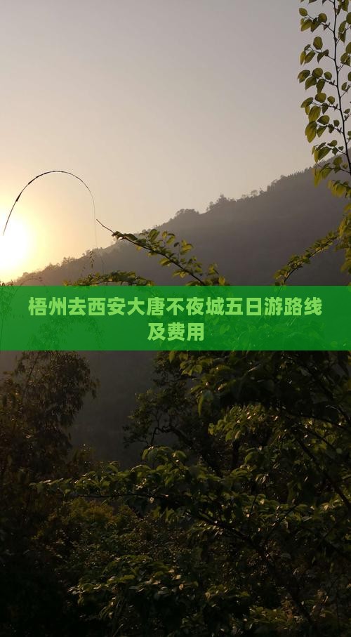 梧州去西安大唐不夜城五日游路线及费用