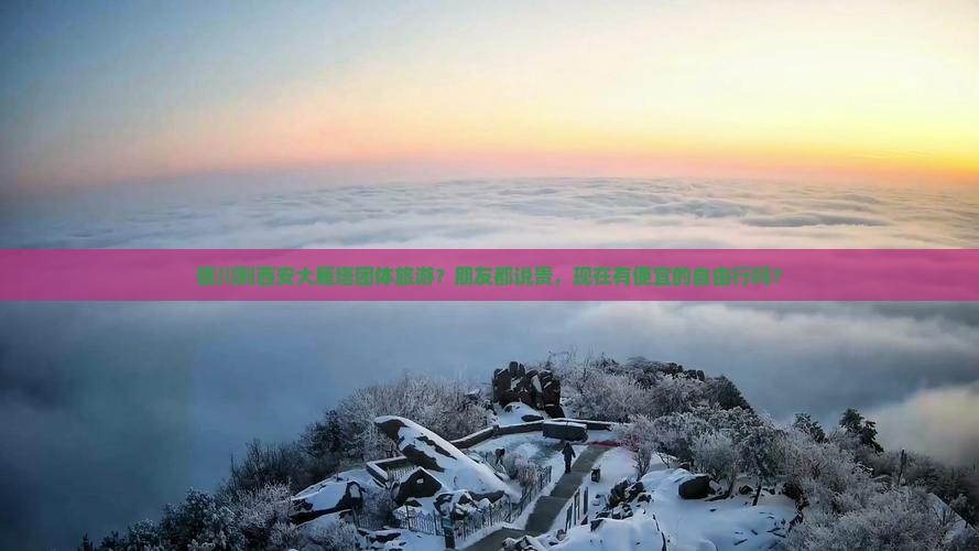 银川到西安大雁塔团体旅游？朋友都说贵，现在有便宜的自由行吗？