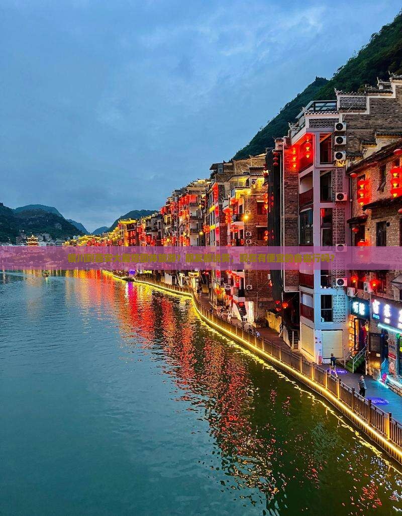 银川到西安大雁塔团体旅游？朋友都说贵，现在有便宜的自由行吗？