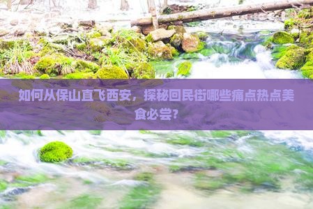 如何从保山直飞西安，探秘回民街哪些痛点热点美食必尝？