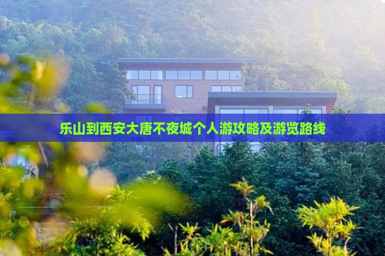 乐山到西安大唐不夜城个人游攻略及游览路线