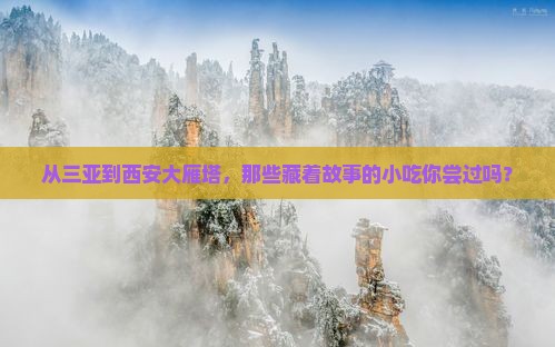 从三亚到西安大雁塔，那些藏着故事的小吃你尝过吗？
