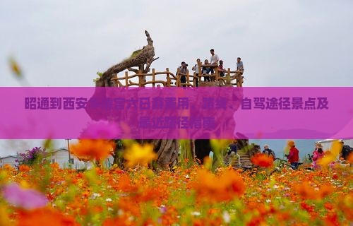 昭通到西安华清宫六日游费用、路线、自驾途径景点及最近路径指南