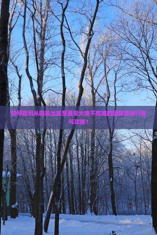 如何规划从阳泉出发至西安大唐不夜城的团体旅游行程与攻略？