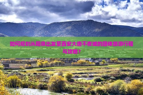 如何规划从阳泉出发至西安大唐不夜城的团体旅游行程与攻略？