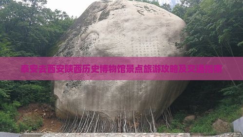 泰安去西安陕西历史博物馆景点旅游攻略及交通指南