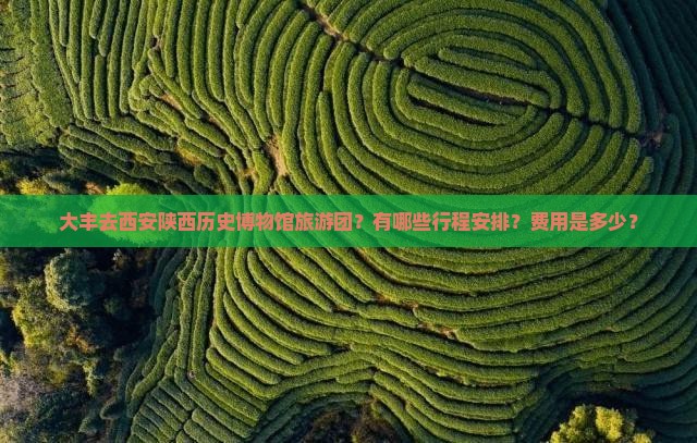 大丰去西安陕西历史博物馆旅游团？有哪些行程安排？费用是多少？