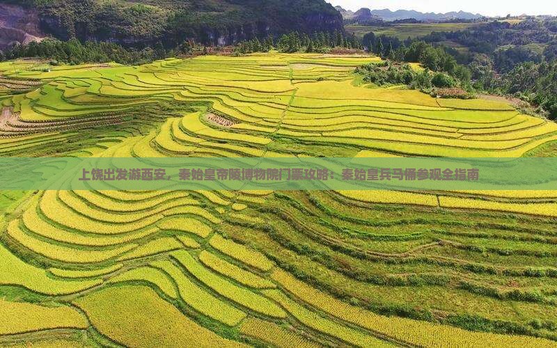 上饶出发游西安，秦始皇帝陵博物院门票攻略：秦始皇兵马俑参观全指南