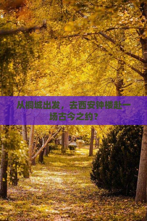 从桐城出发，去西安钟楼赴一场古今之约？