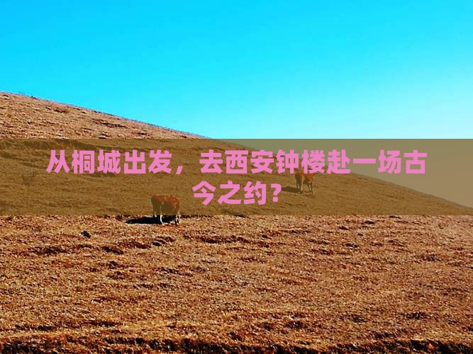 从桐城出发，去西安钟楼赴一场古今之约？