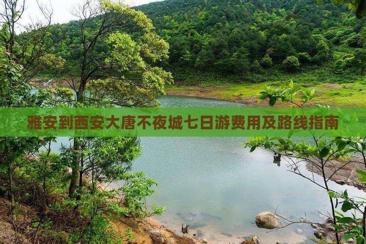 雅安到西安大唐不夜城七日游费用及路线指南