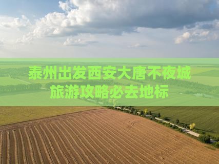 泰州出发西安大唐不夜城旅游攻略必去地标