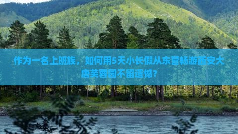 作为一名上班族，如何用5天小长假从东营畅游西安大唐芙蓉园不留遗憾？