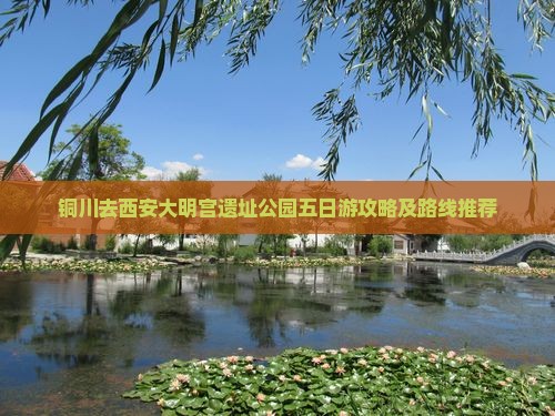 铜川去西安大明宫遗址公园五日游攻略及路线推荐
