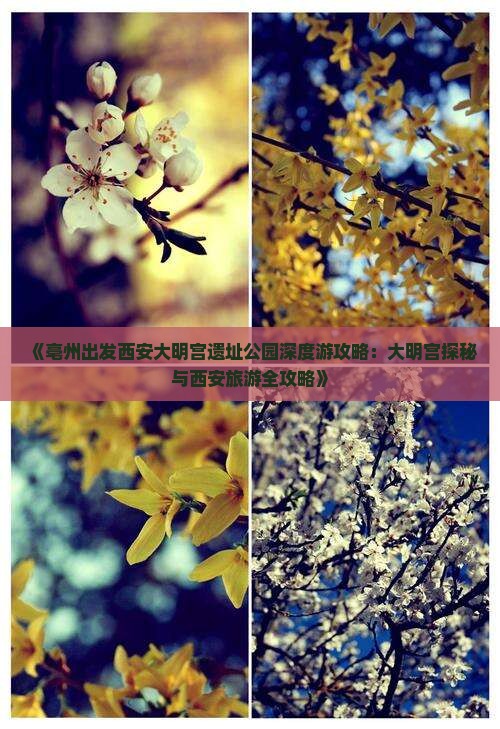 《亳州出发西安大明宫遗址公园深度游攻略：大明宫探秘与西安旅游全攻略》