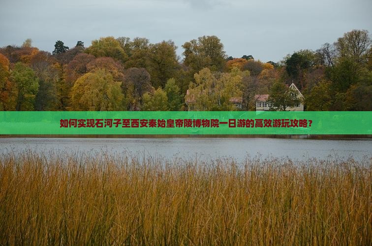 如何实现石河子至西安秦始皇帝陵博物院一日游的高效游玩攻略？